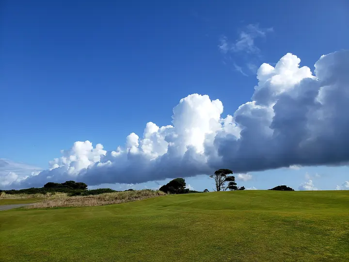 A links fairway rolling toward wind-shaped trees under coastal clouds.